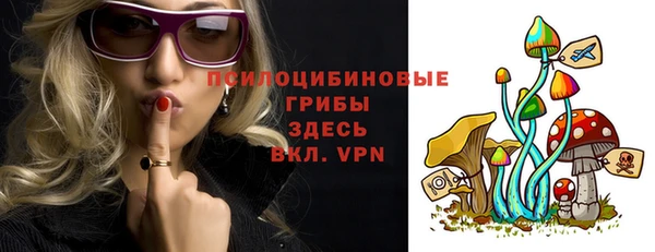 крисы Абаза