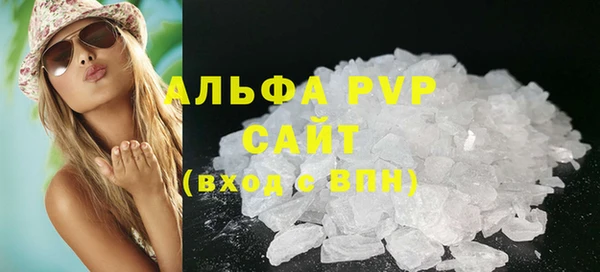 крисы Абаза