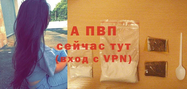 крисы Абаза